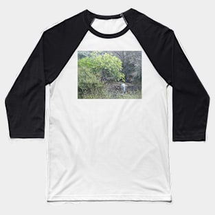 Wild Fennel Baseball T-Shirt